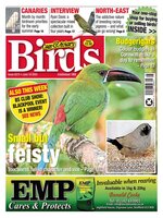 Cage & Aviary Birds